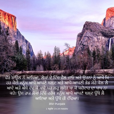 Picture 03 - 1 ਸਮੂਏਲ 14:34 PANIRV - ਫੇਰ ਸ਼ਾਊਲ ਨੇ ਆਖਿਆ, - Bible Verse Picture