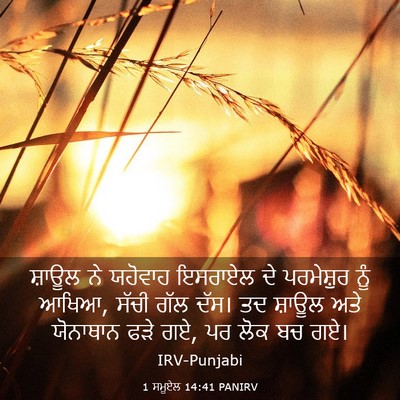 Picture 03 - 1 ਸਮੂਏਲ 14:41 PANIRV - ਸ਼ਾਊਲ ਨੇ ਯਹੋਵਾਹ - Bible Verse Picture