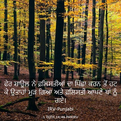 Picture 03 - 1 ਸਮੂਏਲ 14:46 PANIRV - ਫੇਰ ਸ਼ਾਊਲ ਨੇ - Bible Verse Picture