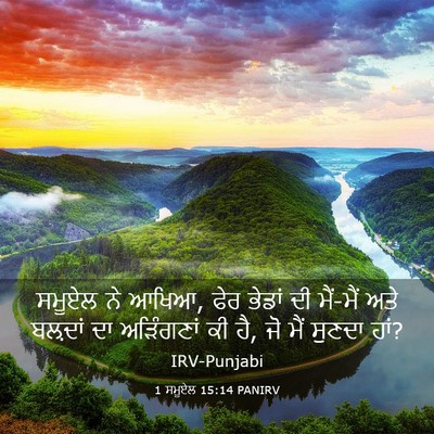 Picture 03 - 1 ਸਮੂਏਲ 15:14 PANIRV - ਸਮੂਏਲ ਨੇ ਆਖਿਆ, ਫੇਰ - Bible Verse Picture
