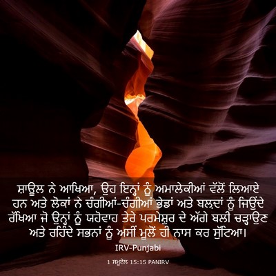Picture 03 - 1 ਸਮੂਏਲ 15:15 PANIRV - ਸ਼ਾਊਲ ਨੇ ਆਖਿਆ, ਉਹ - Bible Verse Picture