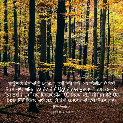 Picture 03 - 1 ਸਮੂਏਲ 15:6 PANIRV - ਸ਼ਾਊਲ ਨੇ ਕੇਨੀਆਂ - Bible Verse Picture