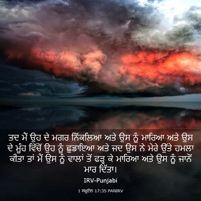 Picture 03 - 1 ਸਮੂਏਲ 17:35 PANIRV - ਤਦ ਮੈਂ ਉਹ ਦੇ ਮਗਰ - Bible Verse Picture