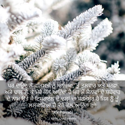 Picture 03 - 1 ਸਮੂਏਲ 17:45 PANIRV - ਪਰ ਦਾਊਦ ਨੇ ਫ਼ਲਿਸਤੀ - Bible Verse Picture