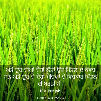 Picture 03 - 1 ਸਮੂਏਲ 17:6 PANIRV - ਅਤੇ ਉਹ ਦੀਆਂ ਦੋਹਾਂ - Bible Verse Picture