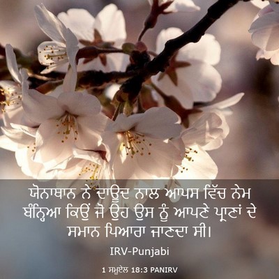 Picture 03 - 1 ਸਮੂਏਲ 18:3 PANIRV - ਯੋਨਾਥਾਨ ਨੇ ਦਾਊਦ - Bible Verse Picture