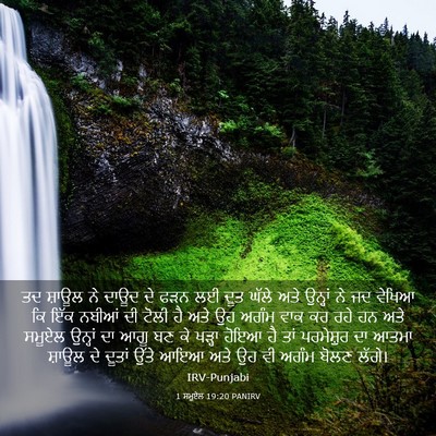 Picture 03 - 1 ਸਮੂਏਲ 19:20 PANIRV - ਤਦ ਸ਼ਾਊਲ ਨੇ ਦਾਊਦ ਦੇ - Bible Verse Picture