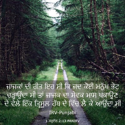 Picture 03 - 1 ਸਮੂਏਲ 2:13 PANIRV - ਜਾਜਕਾਂ ਦੀ ਰੀਤ ਇਹ ਸੀ - Bible Verse Picture