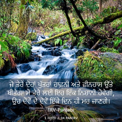 Picture 03 - 1 ਸਮੂਏਲ 2:34 PANIRV - ਜੋ ਤੇਰੇ ਦੋਹਾਂ - Bible Verse Picture