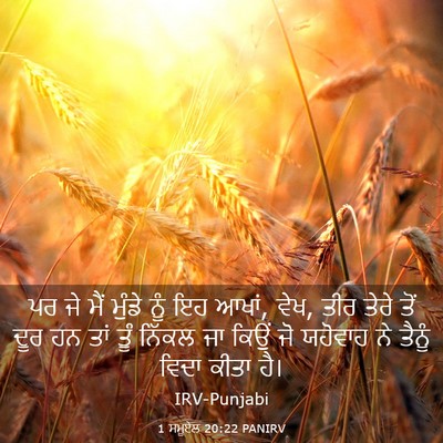 Picture 03 - 1 ਸਮੂਏਲ 20:22 PANIRV - ਪਰ ਜੇ ਮੈਂ ਮੁੰਡੇ ਨੂੰ - Bible Verse Picture
