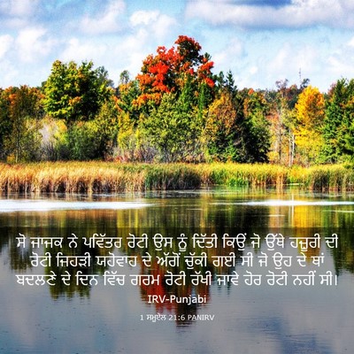 Picture 03 - 1 ਸਮੂਏਲ 21:6 PANIRV - ਸੋ ਜਾਜਕ ਨੇ ਪਵਿੱਤਰ - Bible Verse Picture