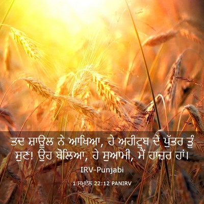 Picture 03 - 1 ਸਮੂਏਲ 22:12 PANIRV - ਤਦ ਸ਼ਾਊਲ ਨੇ ਆਖਿਆ, - Bible Verse Picture