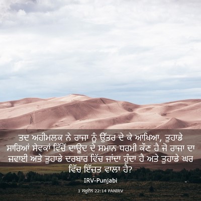 Picture 03 - 1 ਸਮੂਏਲ 22:14 PANIRV - ਤਦ ਅਹੀਮਲਕ ਨੇ ਰਾਜਾ - Bible Verse Picture