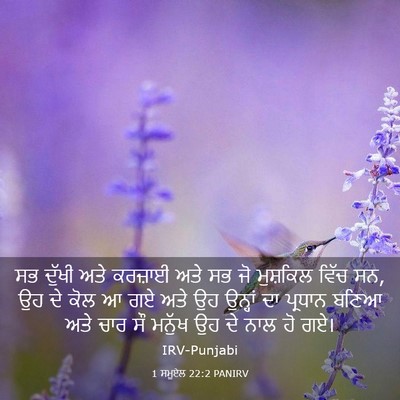 Picture 03 - 1 ਸਮੂਏਲ 22:2 PANIRV - ਸਭ ਦੁੱਖੀ ਅਤੇ - Bible Verse Picture
