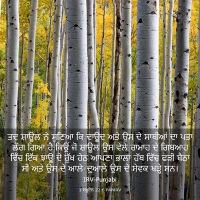 Picture 03 - 1 ਸਮੂਏਲ 22:6 PANIRV - ਤਦ ਸ਼ਾਊਲ ਨੇ ਸੁਣਿਆ - Bible Verse Picture