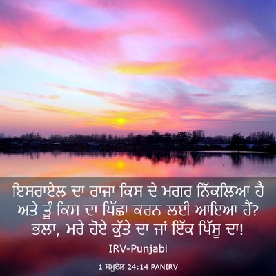 Picture 03 - 1 ਸਮੂਏਲ 24:14 PANIRV - ਇਸਰਾਏਲ ਦਾ ਰਾਜਾ ਕਿਸ - Bible Verse Picture