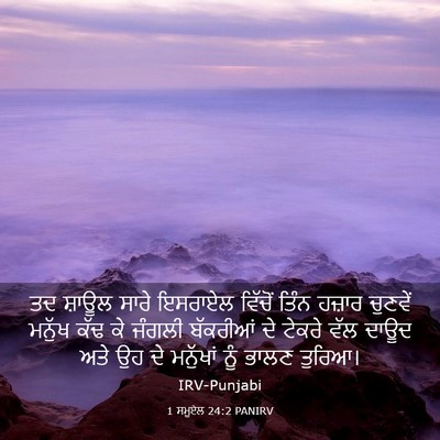 Picture 03 - 1 ਸਮੂਏਲ 24:2 PANIRV - ਤਦ ਸ਼ਾਊਲ ਸਾਰੇ - Bible Verse Picture