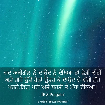 Picture 03 - 1 ਸਮੂਏਲ 25:23 PANIRV - ਜਦ ਅਬੀਗੈਲ ਨੇ ਦਾਊਦ - Bible Verse Picture
