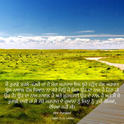 Picture 03 - 1 ਸਮੂਏਲ 25:25 PANIRV - ਮੈਂ ਤੁਹਾਡੇ ਤਰਲੇ - Bible Verse Picture