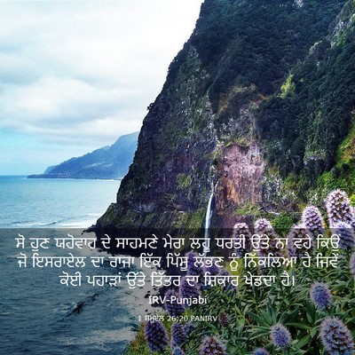 Picture 03 - 1 ਸਮੂਏਲ 26:20 PANIRV - ਸੋ ਹੁਣ ਯਹੋਵਾਹ ਦੇ - Bible Verse Picture
