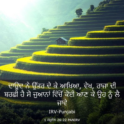 Picture 03 - 1 ਸਮੂਏਲ 26:22 PANIRV - ਦਾਊਦ ਨੇ ਉੱਤਰ ਦੇ ਕੇ - Bible Verse Picture