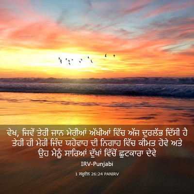 Picture 03 - 1 ਸਮੂਏਲ 26:24 PANIRV - ਵੇਖ, ਜਿਵੇਂ ਤੇਰੀ ਜਾਨ - Bible Verse Picture