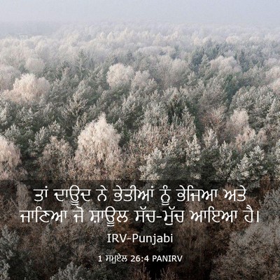 Picture 03 - 1 ਸਮੂਏਲ 26:4 PANIRV - ਤਾਂ ਦਾਊਦ ਨੇ ਭੇਤੀਆਂ - Bible Verse Picture