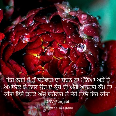 Picture 03 - 1 ਸਮੂਏਲ 28:18 PANIRV - ਇਸ ਲਈ ਜੋ ਤੂੰ ਯਹੋਵਾਹ - Bible Verse Picture