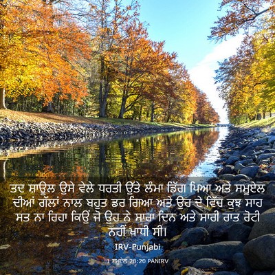Picture 03 - 1 ਸਮੂਏਲ 28:20 PANIRV - ਤਦ ਸ਼ਾਊਲ ਉਸੇ ਵੇਲੇ - Bible Verse Picture