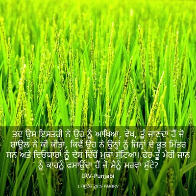 Picture 03 - 1 ਸਮੂਏਲ 28:9 PANIRV - ਤਦ ਉਸ ਇਸਤਰੀ ਨੇ ਉਹ - Bible Verse Picture