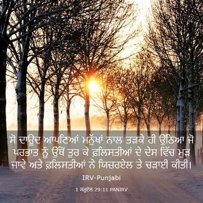 Picture 03 - 1 ਸਮੂਏਲ 29:11 PANIRV - ਸੋ ਦਾਊਦ ਆਪਣਿਆਂ - Bible Verse Picture