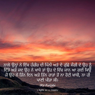 Picture 03 - 1 ਸਮੂਏਲ 30:12 PANIRV - ਨਾਲੇ ਉਨ੍ਹਾਂ ਨੇ ਇੱਕ - Bible Verse Picture