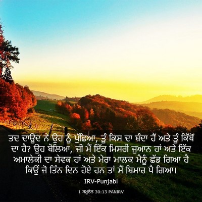 Picture 03 - 1 ਸਮੂਏਲ 30:13 PANIRV - ਤਦ ਦਾਊਦ ਨੇ ਉਹ ਨੂੰ - Bible Verse Picture