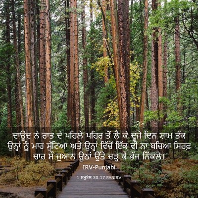 Picture 03 - 1 ਸਮੂਏਲ 30:17 PANIRV - ਦਾਊਦ ਨੇ ਰਾਤ ਦੇ - Bible Verse Picture