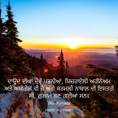 Picture 03 - 1 ਸਮੂਏਲ 30:5 PANIRV - ਦਾਊਦ ਦੀਆਂ ਦੋਵੇਂ - Bible Verse Picture