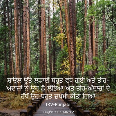 Picture 03 - 1 ਸਮੂਏਲ 31:3 PANIRV - ਸ਼ਾਊਲ ਉੱਤੇ ਲੜਾਈ - Bible Verse Picture