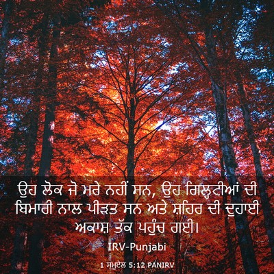 Picture 03 - 1 ਸਮੂਏਲ 5:12 PANIRV - ਉਹ ਲੋਕ ਜੋ ਮਰੇ ਨਹੀਂ - Bible Verse Picture