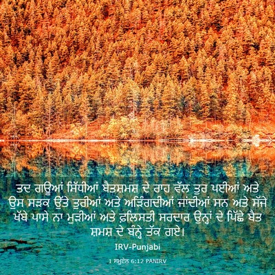 Picture 03 - 1 ਸਮੂਏਲ 6:12 PANIRV - ਤਦ ਗਊਆਂ ਸਿੱਧੀਆਂ - Bible Verse Picture