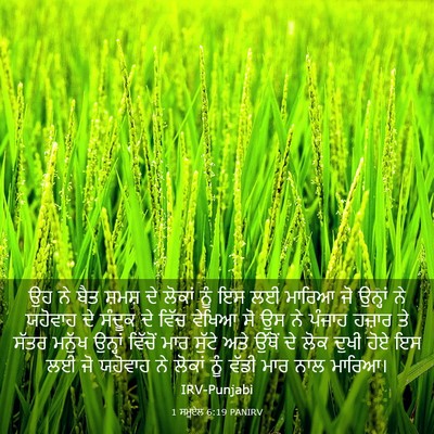 Picture 03 - 1 ਸਮੂਏਲ 6:19 PANIRV - ਉਹ ਨੇ ਬੈਤ ਸ਼ਮਸ਼ ਦੇ - Bible Verse Picture