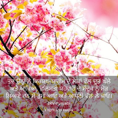 Picture 03 - 1 ਸਮੂਏਲ 6:21 PANIRV - ਤਦ ਉਨ੍ਹਾਂ ਨੇ - Bible Verse Picture