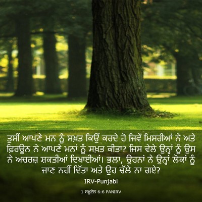 Picture 03 - 1 ਸਮੂਏਲ 6:6 PANIRV - ਤੁਸੀਂ ਆਪਣੇ ਮਨ ਨੂੰ - Bible Verse Picture
