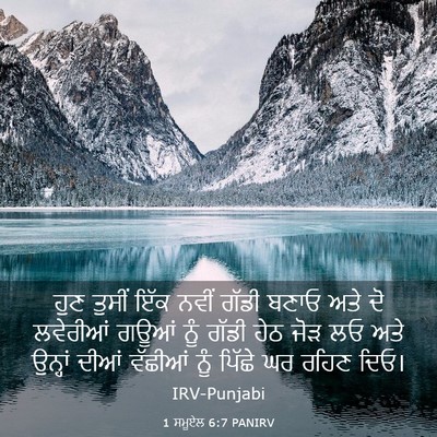 Picture 03 - 1 ਸਮੂਏਲ 6:7 PANIRV - ਹੁਣ ਤੁਸੀਂ ਇੱਕ ਨਵੀਂ - Bible Verse Picture