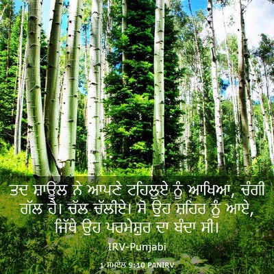 Picture 03 - 1 ਸਮੂਏਲ 9:10 PANIRV - ਤਦ ਸ਼ਾਊਲ ਨੇ ਆਪਣੇ - Bible Verse Picture