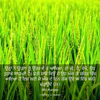 Picture 03 - 1 ਸਮੂਏਲ 9:12 PANIRV - ਉਨ੍ਹਾਂ ਨੇ ਉਹਨਾਂ - Bible Verse Picture