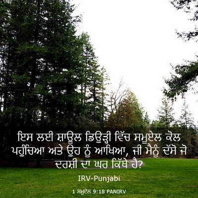 Picture 03 - 1 ਸਮੂਏਲ 9:18 PANIRV - ਇਸ ਲਈ ਸ਼ਾਊਲ - Bible Verse Picture