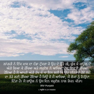 Picture 03 - 1 ਸਮੂਏਲ 9:24 PANIRV - ਲਾਂਗਰੀ ਨੇ ਇੱਕ ਮਾਸ - Bible Verse Picture