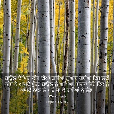 Picture 03 - 1 ਸਮੂਏਲ 9:3 PANIRV - ਸ਼ਾਊਲ ਦੇ ਪਿਤਾ ਕੀਸ਼ - Bible Verse Picture