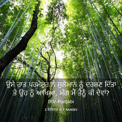 Picture 03 - 2 ਇਤਿਹਾਸ 1:7 PANIRV - ਉਸੇ ਰਾਤ ਪਰਮੇਸ਼ੁਰ - Bible Verse Picture