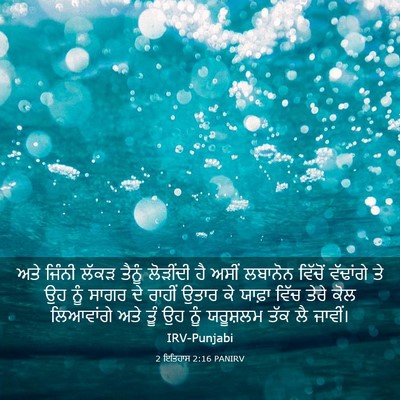 Picture 03 - 2 ਇਤਿਹਾਸ 2:16 PANIRV - ਅਤੇ ਜਿੰਨੀ ਲੱਕੜ - Bible Verse Picture