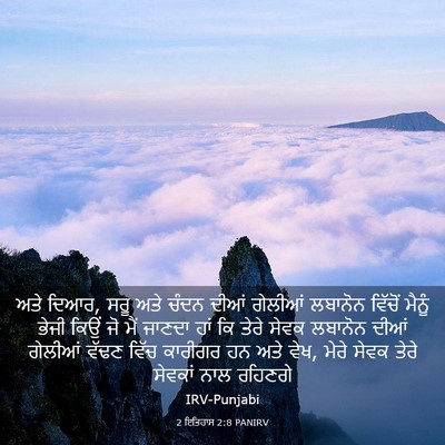 Picture 03 - 2 ਇਤਿਹਾਸ 2:8 PANIRV - ਅਤੇ ਦਿਆਰ, ਸਰੂ ਅਤੇ - Bible Verse Picture